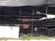 ���ֵ�pe�ܲ����]    _���]pe�ܲĹܼ�