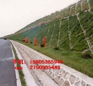 �F(xi��n)؛����(y��ng)���\���o�������W(w��ng)=ֲ��֧�ܾW(w��ng)