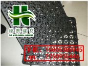 ��ꖵ���������ˮ�塾�I�ھG����ˮ�塿��؛