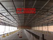 �����B���W�N��#�H������ƽ�W�߼���