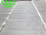 ������ƺ�N�ӷNֲ����ˮ��+��ˮ��͸ˮ܇�����������