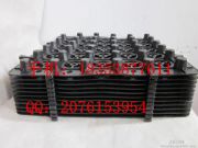 ���ψ@�־G����ˮ��*���߉���ꖲ�ƺ�Nֲ�����*�͸�