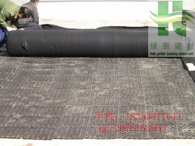 珠海塊狀排水板【珠海塊狀種植排水板】