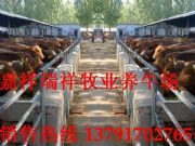 �Bţ,ţ��,�Sţ,���T����ţ,��ţ�r��(�D)