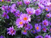 �uՓ��look�������m�ջ���//���m�����l//ɽ�|���m�ա��G���ݡ�