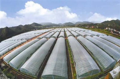 �չ�����c��Ĥ���ҵą^(q��)�e