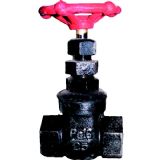 �����T�F�z���l�y