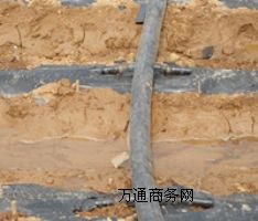 ��ꖿ�����ؔ��ؔ�r(n��ng)����@�߲��B(y��ng)ֳ�Ƚ�(j��ng)����PE��