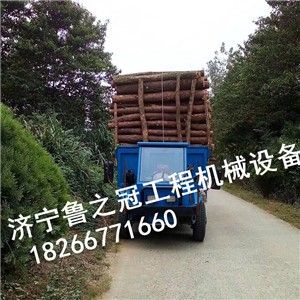 ���ՏV��ֱ�N�r���Ĳ���܇�r���\ë��܇��ɽ��