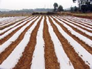 ���m���r(n��ng)�õ�Ĥ��Ϣ֪������(y��ng)�̼��ṩ���½��r(n��ng)�õ�Ĥ