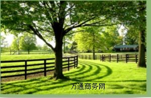 �����w����0��,�߉�����ϩ��0��,EVA�w����0��