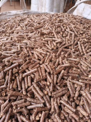 �V�������w��ȼ��