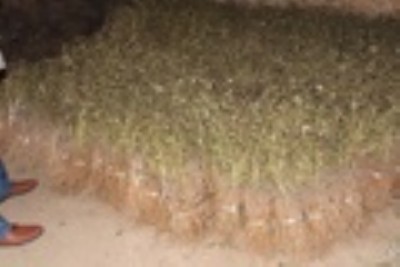 ĵ���� 1-2��ĵ���� ����ĵ���� ĵ����r��