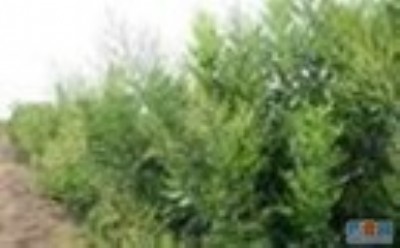 �p�������� �Y���p�������� ˎ���p�������� �p��������r��