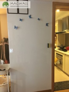 ����magwall����ܛ�װ剦�N���Ƴ����N