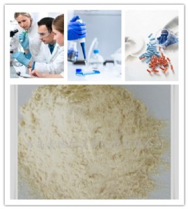 ��(y��u)�|(zh��)������ԭ�ό��󱣽�Ʒ���t(y��)ˎ������