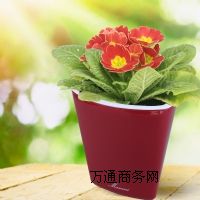 ��˹���Ԅӝ�ˮ���� �k��������ߙn�Gֲ���z���� �S��ֱ�N