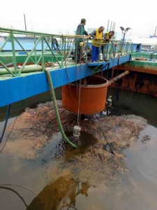 ��ˮ��̎��