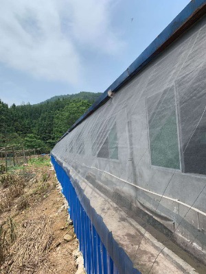 �Y���Ӻ���þW�B�i��20Ŀ͸�Lƽ�����þW