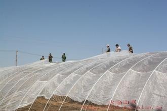 �����Y�����x�W��Ó�z�Ӻ�40ĿĚ�ȸ��ٷ��x�W