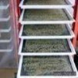 �滨�۲ɼ�(�D)