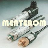 �Չ��C��������������܇����������