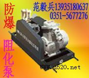 �x��̫ԭ�S�r�V���軯�ã��軯�������(�D)