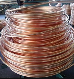 �F(xi��n)؛���{�~��t2/tp2/c1100/c1020���~�P�����~