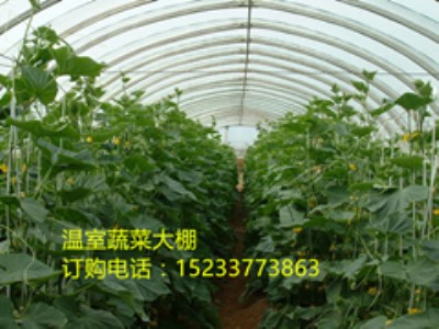 �Q�h�������I�|���r���������õĎ���䓴���Ǽ�