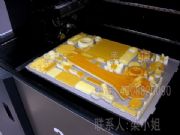 ����(y��ng)��֬���͙C(j��)����֬ģ�����T��ģ�͡��ְ��O(sh��)�������ܼӹ�(�D)