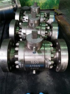 �߉��̶����y