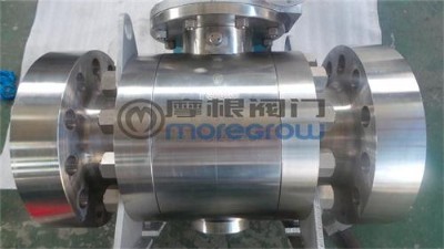 �߉��������y