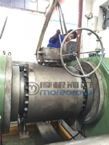 ��ڏ��߉����y