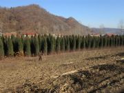 �@�ֹ��̈�r �������� �A���� ����� �y�Ә� ���� ������