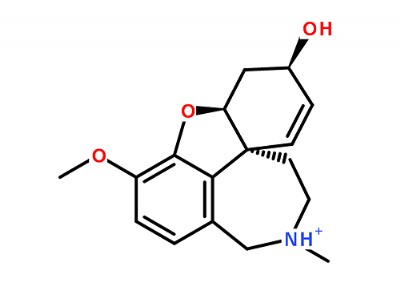 11-�׻�-3-������-4a,5,9,10,11,12-����