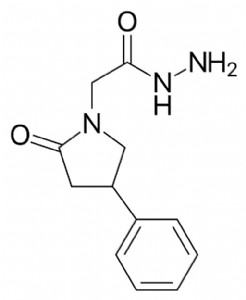 ����������̹��