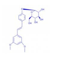 ��̴Ƈ����