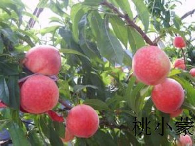 ȥ�����ܴ������l�������_����С�ɡ���������Ҵ����������