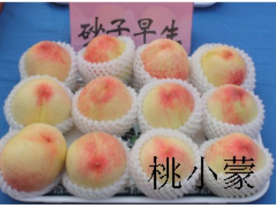 ������҉���_����������A���ҵ����նY��