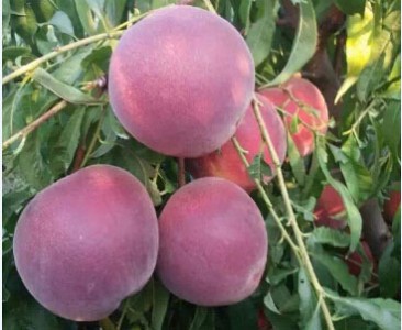 ��������Ј��r��_��С���������ԭ���B�o�rˎ����