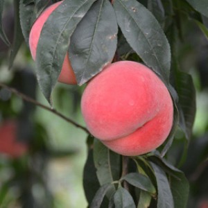 ���ҶY��_��С��������ҶY�д_����5������_�͑�����