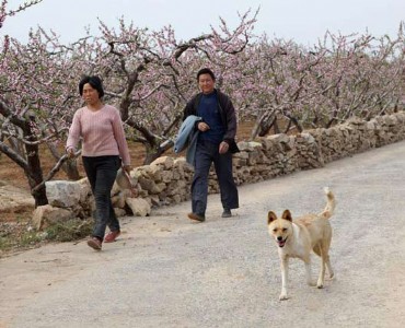 ������Ҟ�ʲô��_�c��ꎿh���쪚��ĵ����h�����P