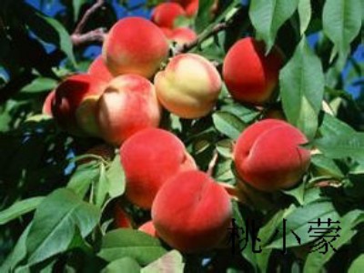 ����������l�Ј�_��С��������ҡ����A���ҵĂ��f