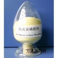 ��ϼ�������� �S��ֱ�N