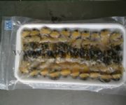 �s��Ƭ���l����