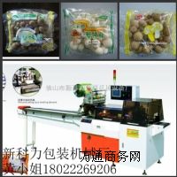 ���rʳ�ù����b�C