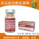 ���B�i�l�ʹ��İl�;��Ă����Ӻ�