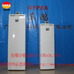 �t���O�����������T