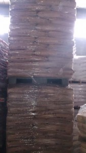 �Ͼ������g������