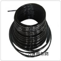 �߉��͹� �߉���֬�� �o���oζ